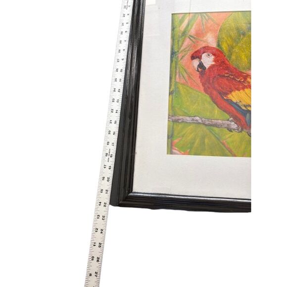 Parrot Picture Signed by Retta Colorful Professionally Matted and Framed - Picture 6 of 9
